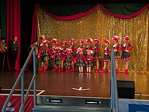 Das 3. Garde- und Showtanztreffen war wieder ein voller Erfolg!:Vereine aus Nah und Fern zeigten ihr Können