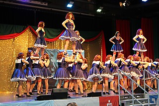 Vereine aus Nah und Fern zeigten ihr Können