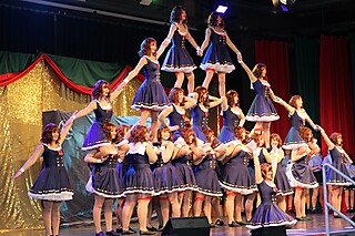 Vereine aus Nah und Fern zeigten ihr Können