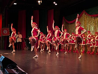 Vereine aus Nah und Fern zeigten ihr Können