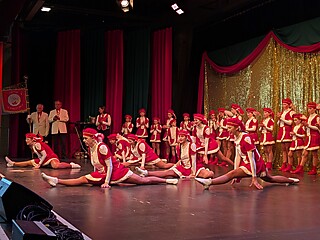 Vereine aus Nah und Fern zeigten ihr Können