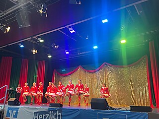 Vereine aus Nah und Fern zeigten ihr Können