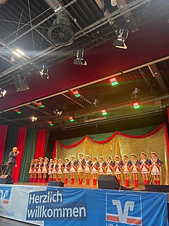 Vereine aus Nah und Fern zeigten ihr Können