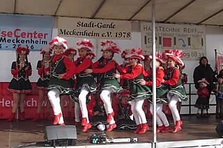 20. Jeckentreff der Stadt-Garde